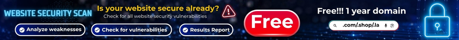 Website Security Scan